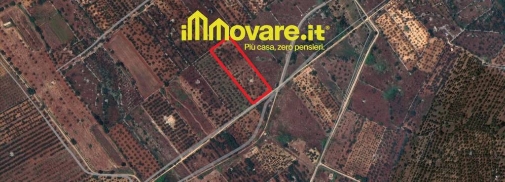 immagine annuncio 6 di 7