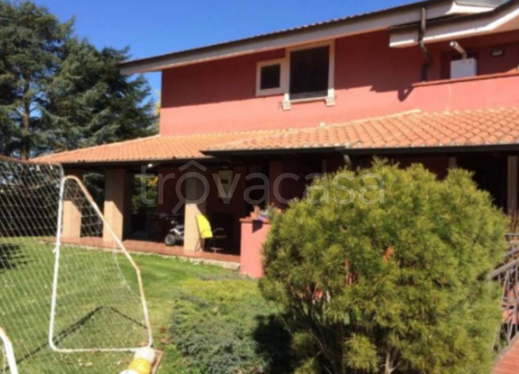immagine annuncio 5 di 12