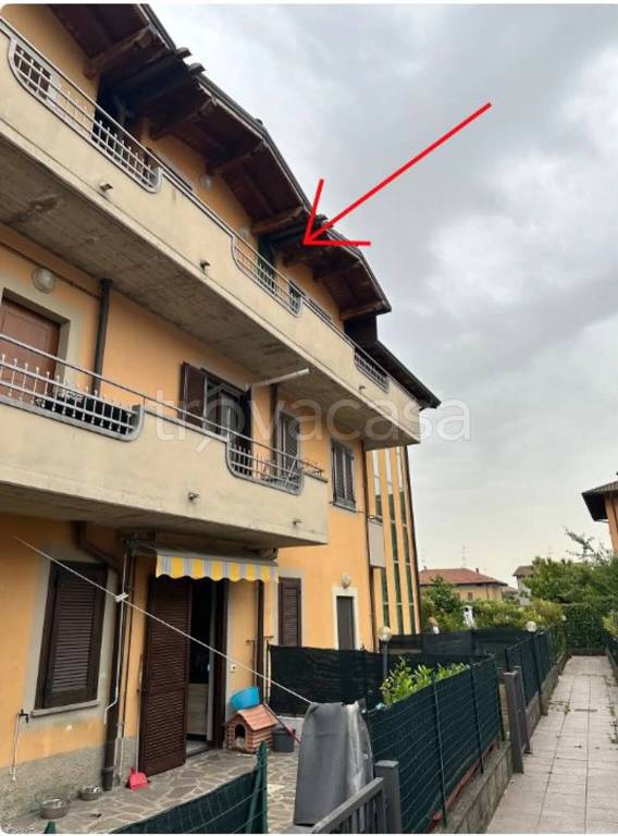 immagine annuncio 3 di 15