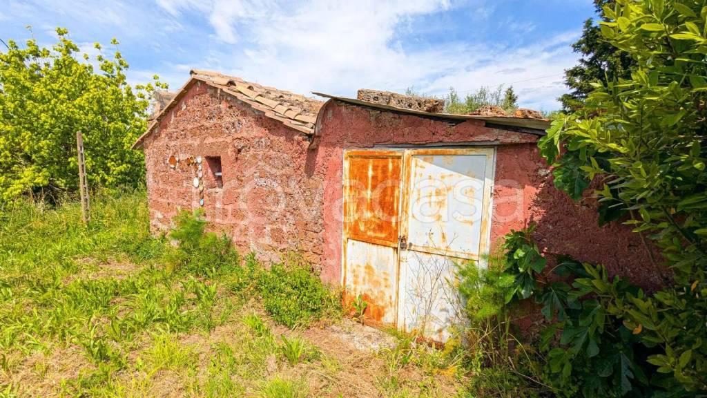 immagine annuncio 2 di 4