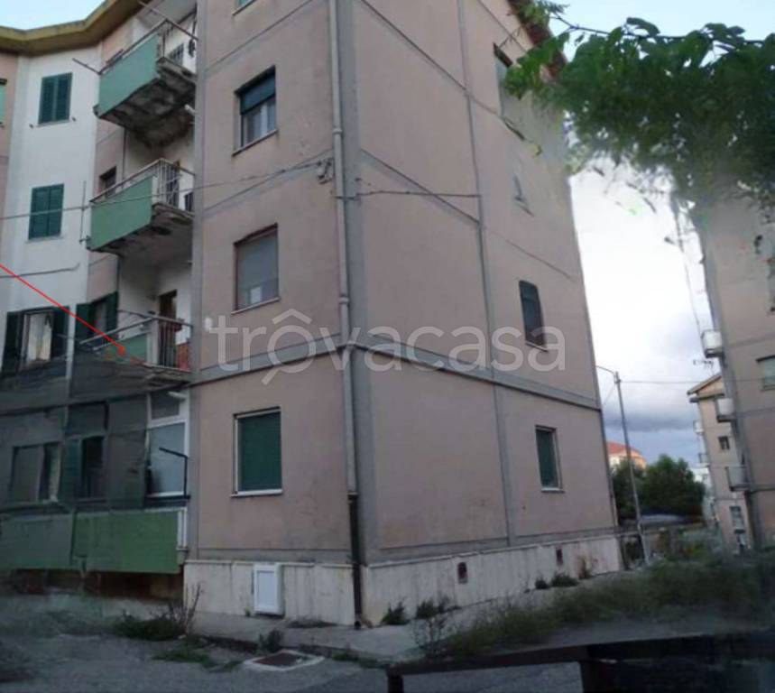 immagine annuncio 10 di 11