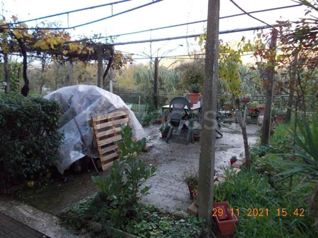 immagine annuncio 7 di 8