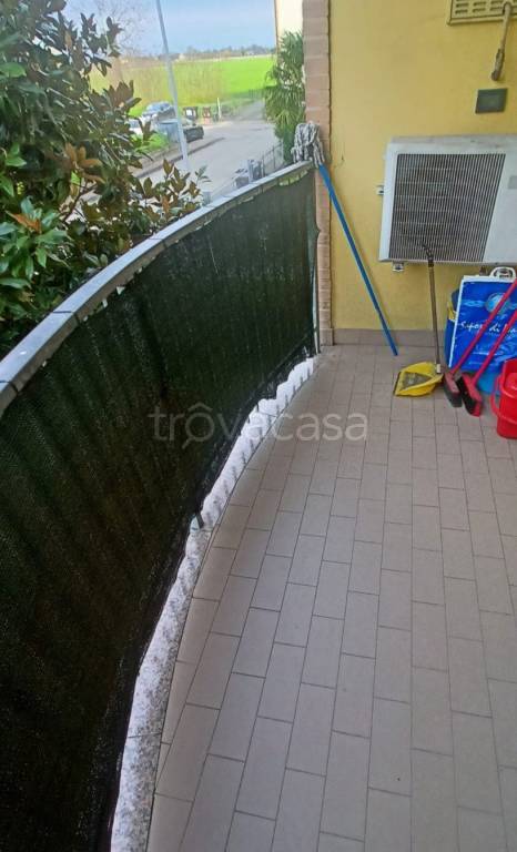 immagine annuncio 5 di 7