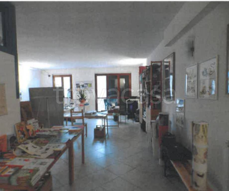 immagine annuncio 3 di 12
