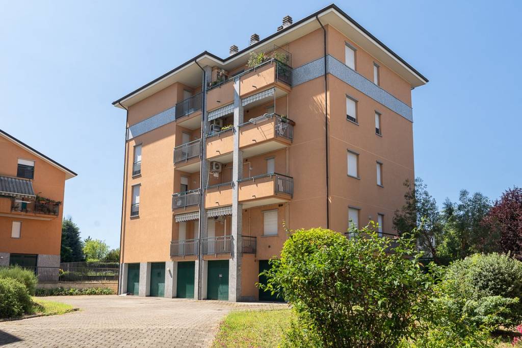immagine annuncio 3 di 15