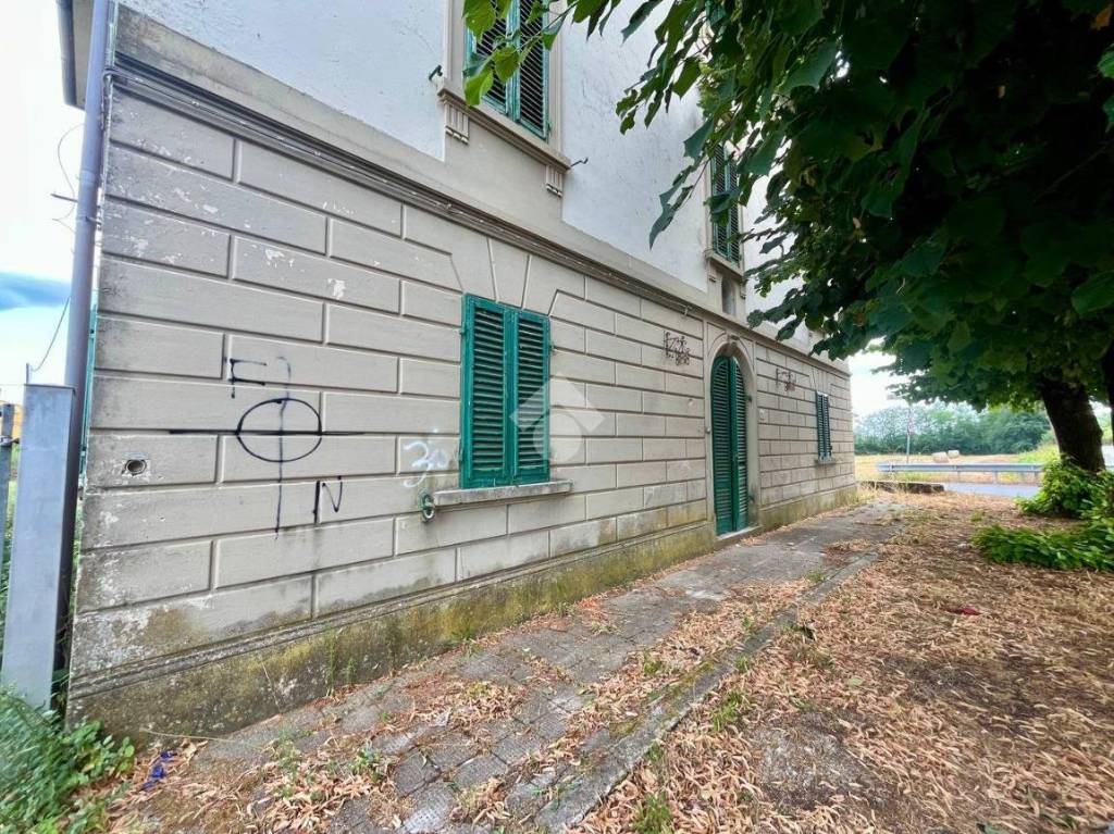 immagine annuncio 3 di 12