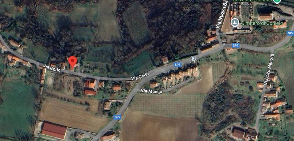 immagine annuncio 6 di 12