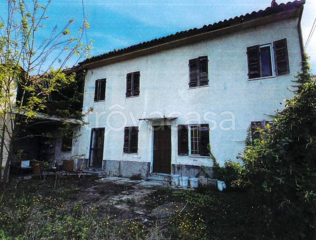 immagine annuncio 11 di 12