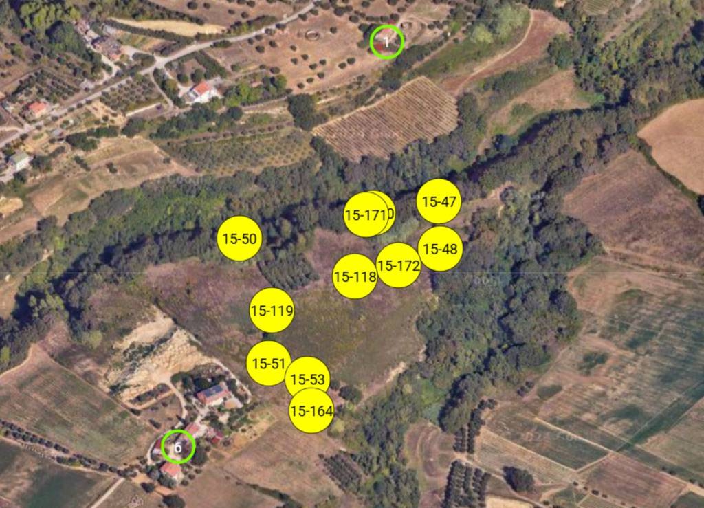 immagine annuncio 5 di 11
