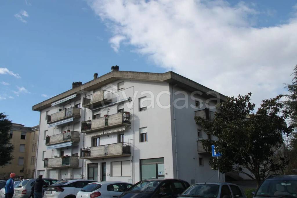 immagine annuncio 11 di 13
