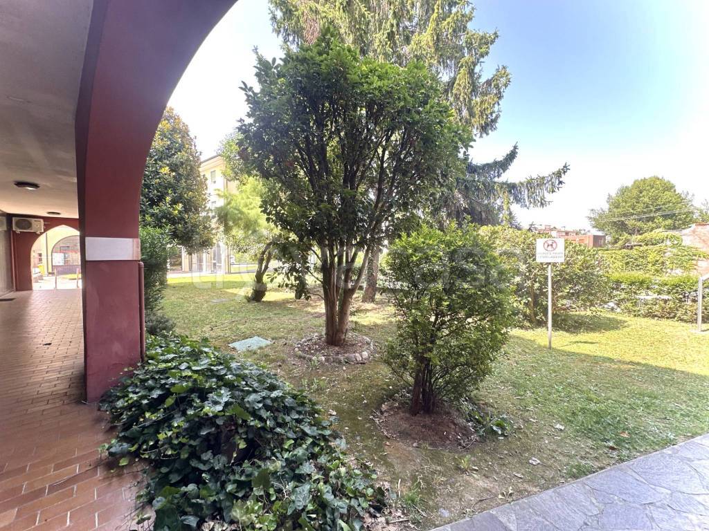 immagine annuncio 11 di 12