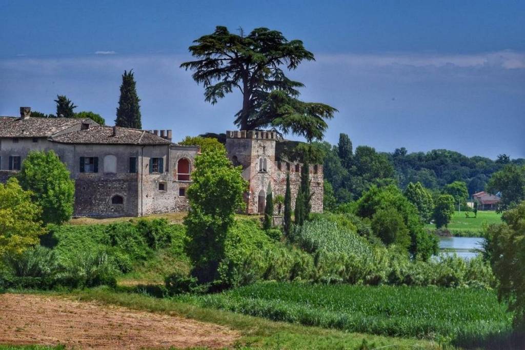 immagine annuncio 13 di 15