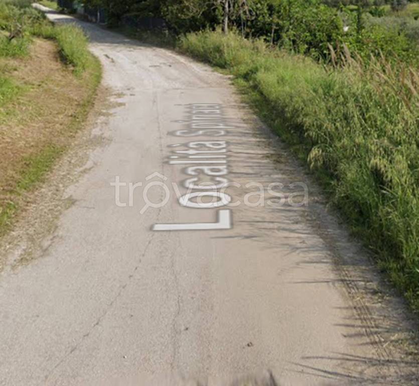 immagine annuncio 10 di 11