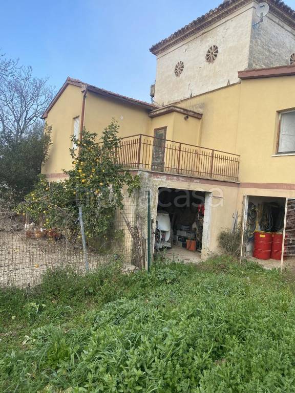 immagine annuncio 3 di 11