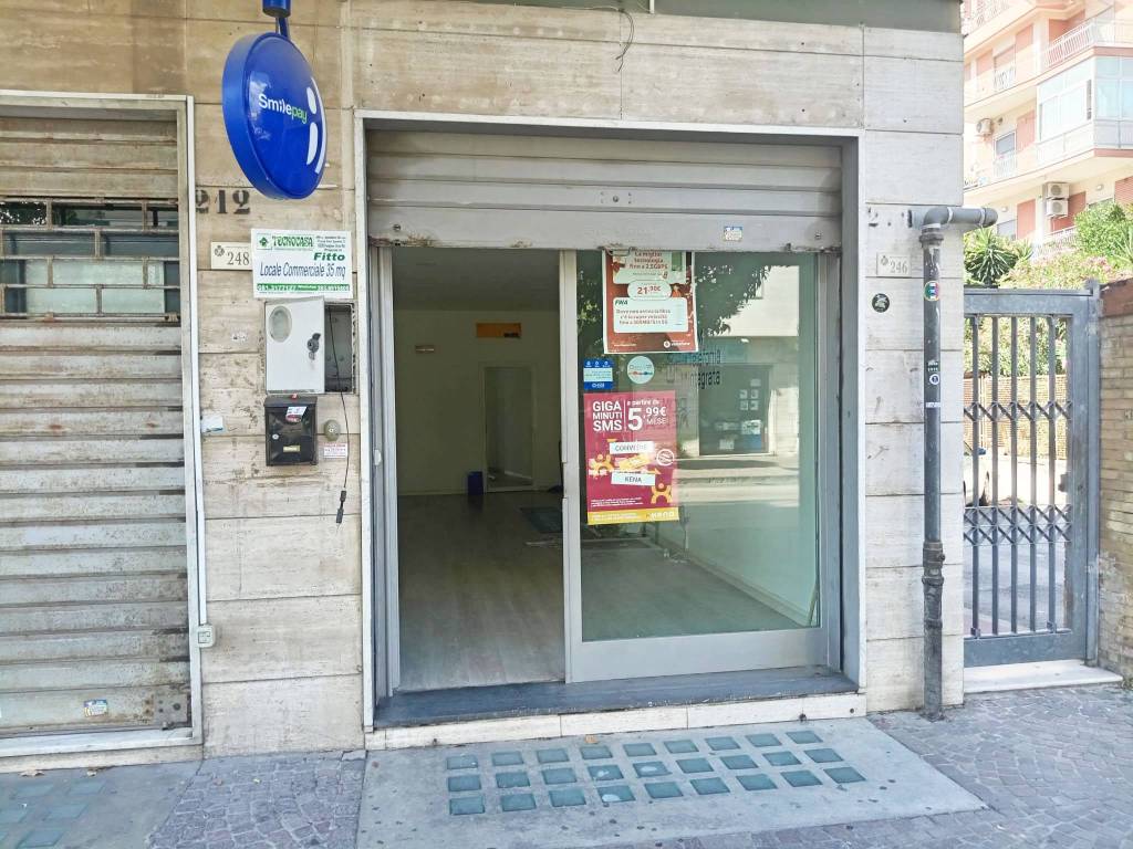 immagine annuncio 5 di 14