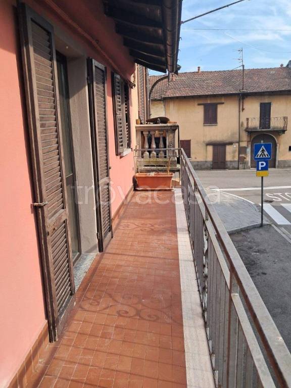 immagine annuncio 12 di 14