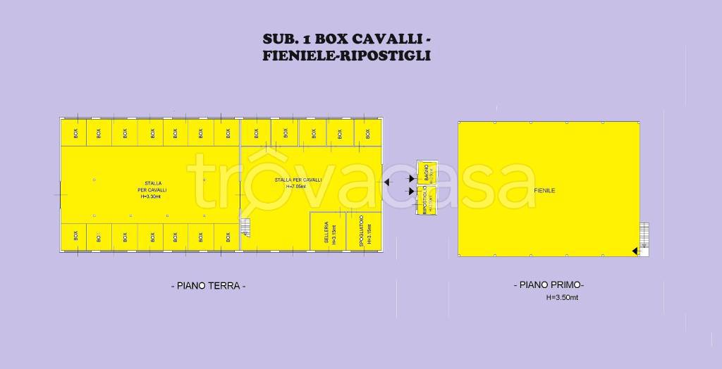 immagine annuncio 10 di 13