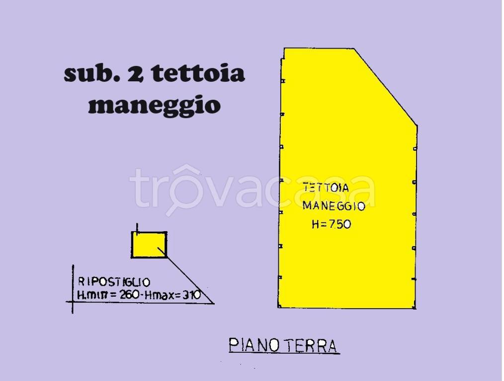 immagine annuncio 11 di 13