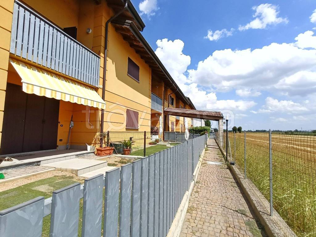 immagine annuncio 11 di 15
