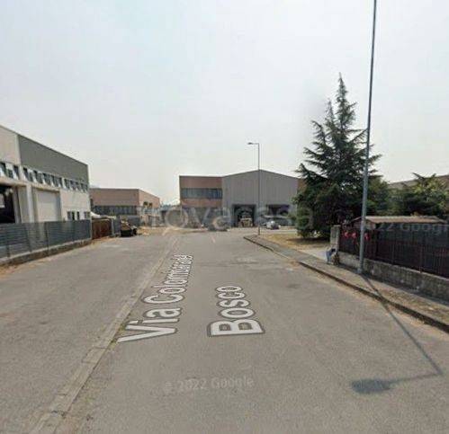 immagine annuncio 3 di 8