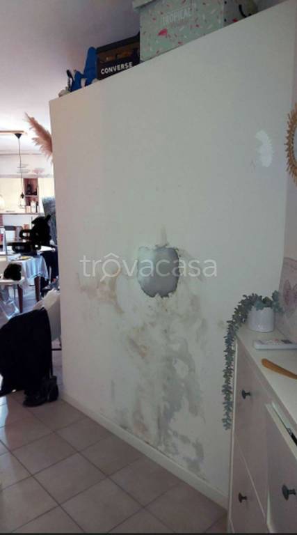 immagine annuncio 4 di 14