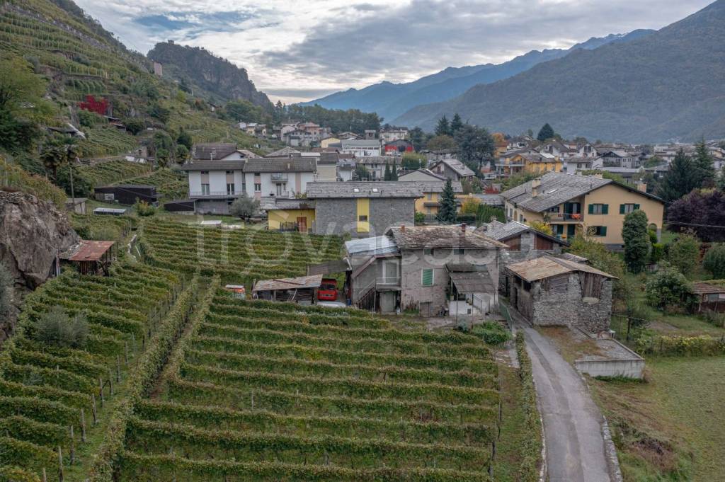immagine annuncio 4 di 13