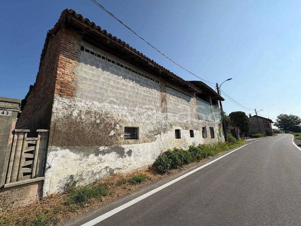 immagine annuncio 11 di 15