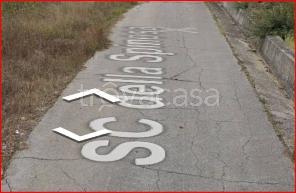 immagine annuncio 3 di 13