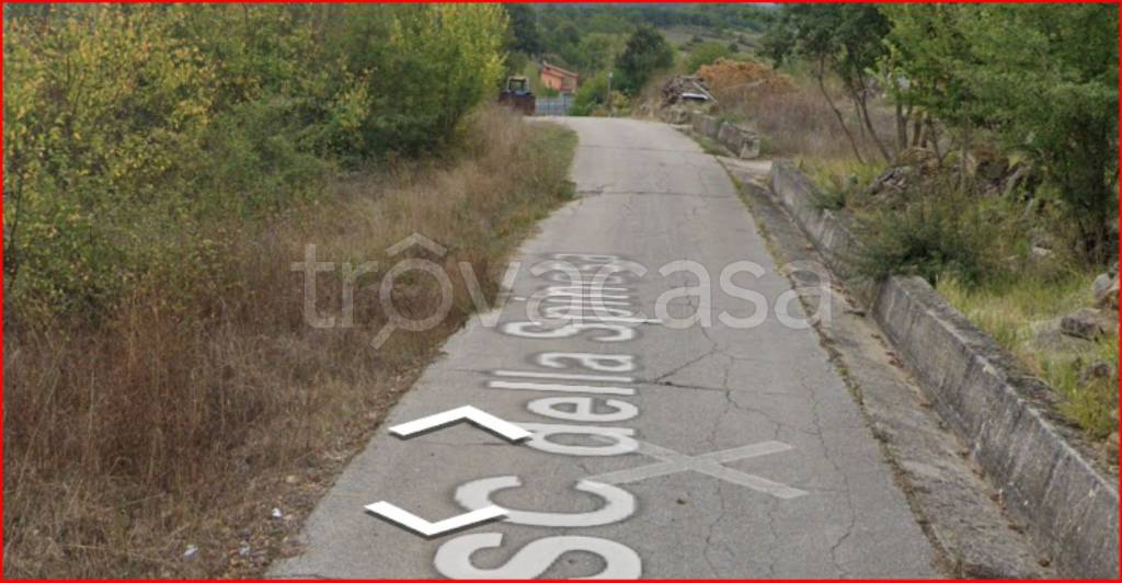 immagine annuncio 5 di 13