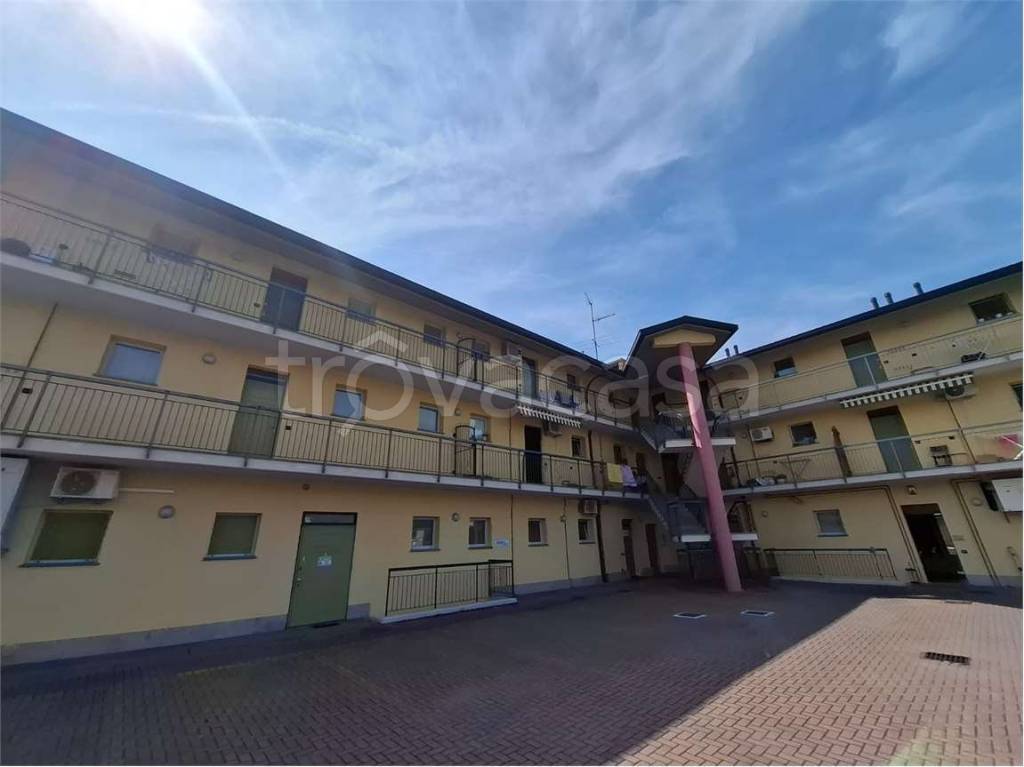 immagine annuncio 3 di 15