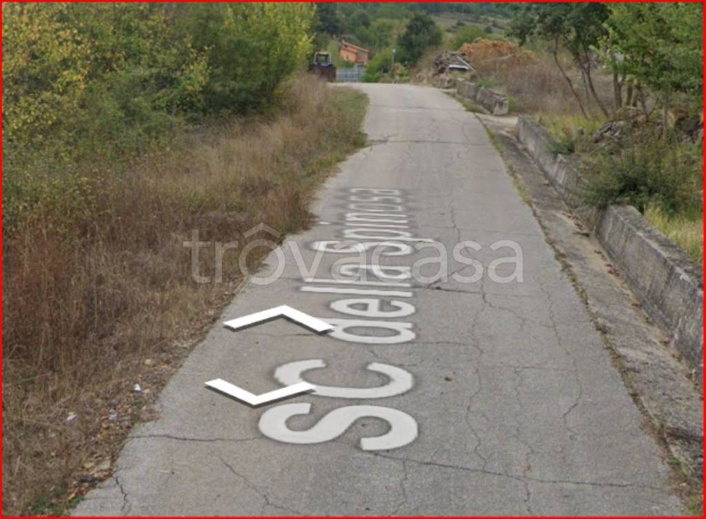 immagine annuncio 10 di 13