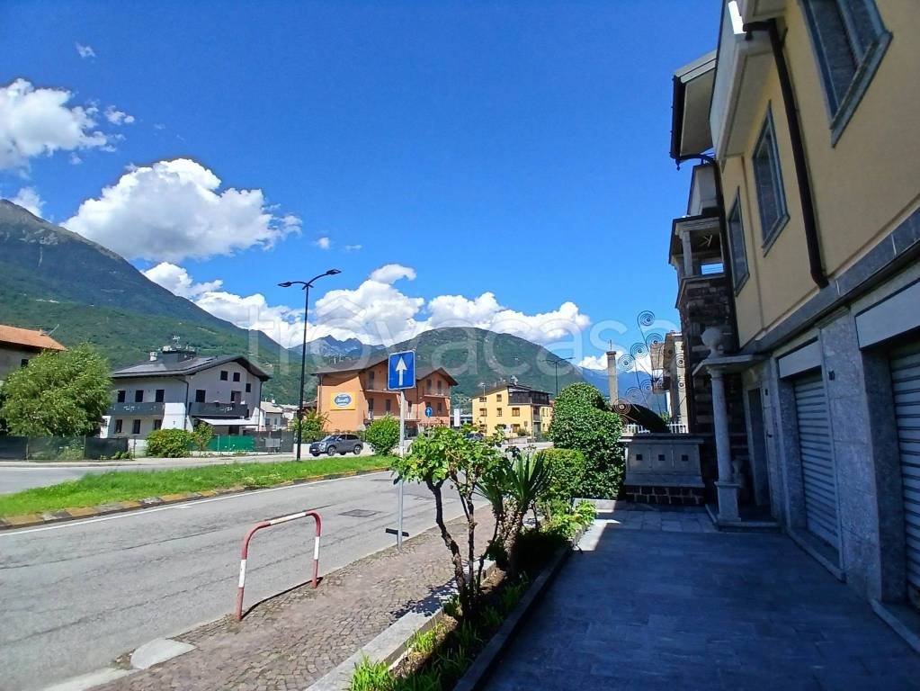immagine annuncio 2 di 6