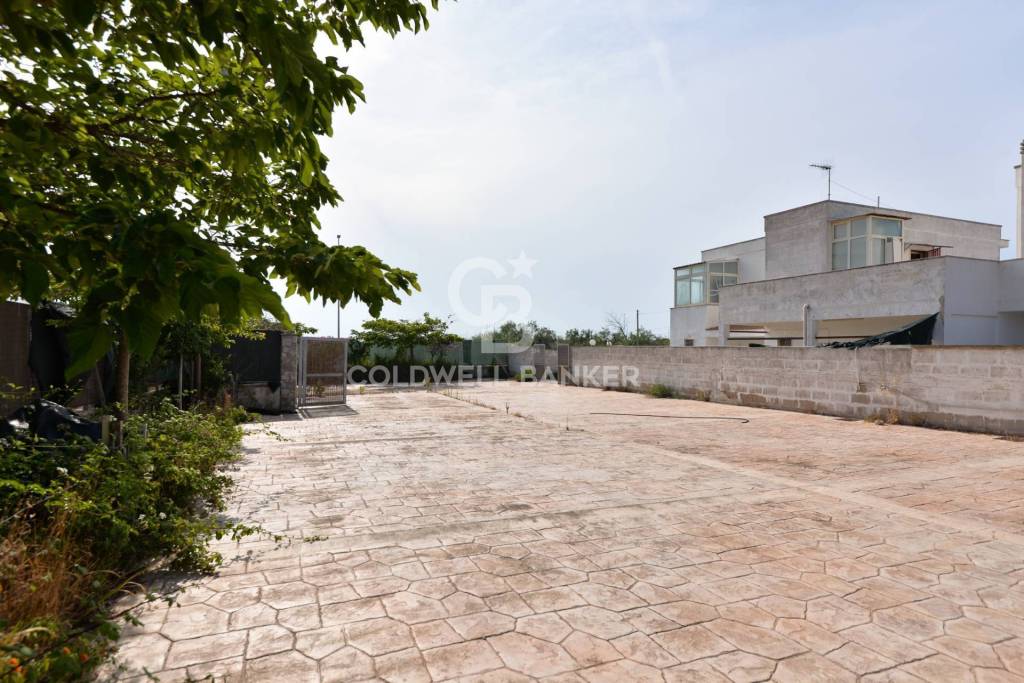 immagine annuncio 11 di 14