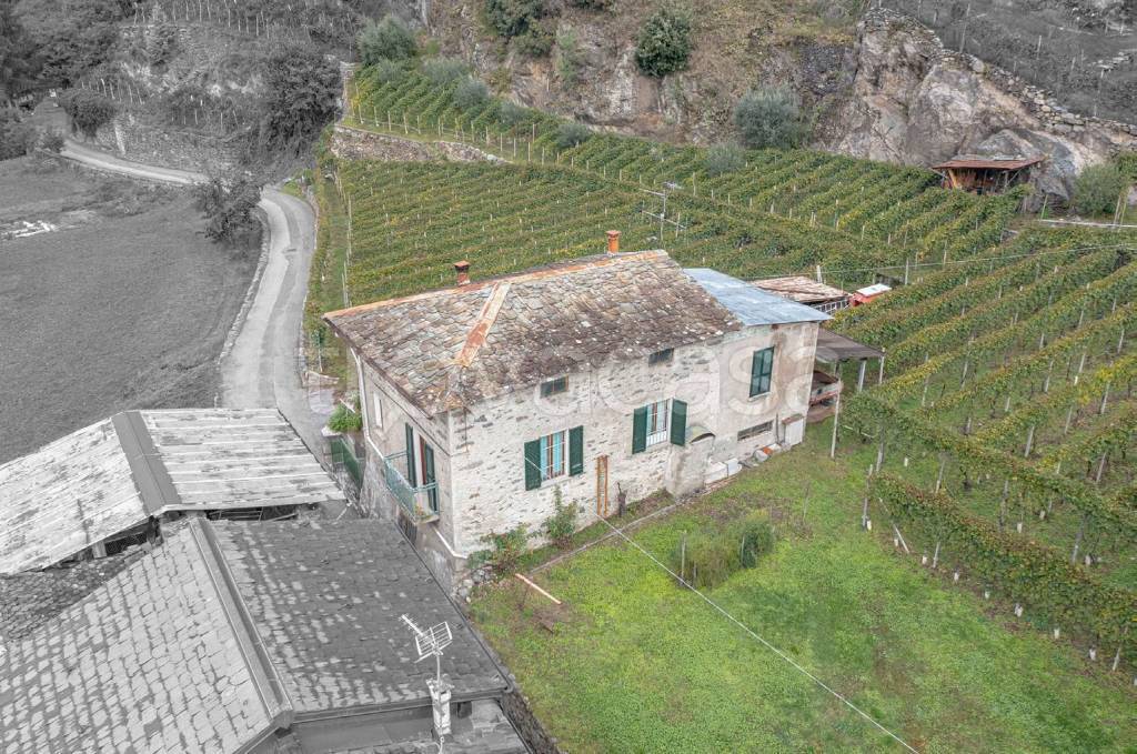 immagine annuncio 7 di 13