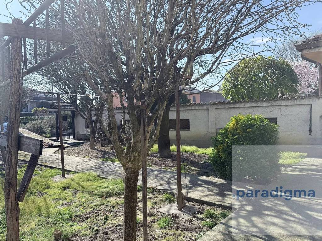 immagine annuncio 1 di 12