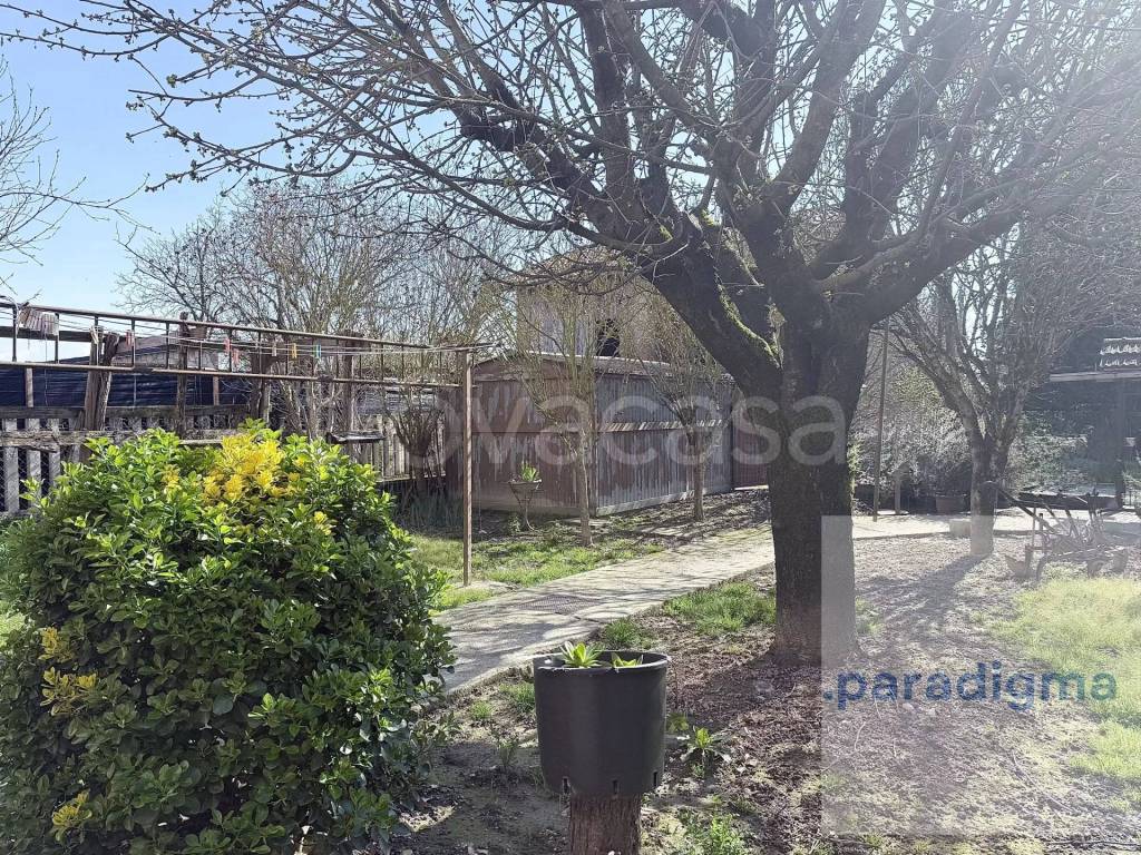 immagine annuncio 2 di 12