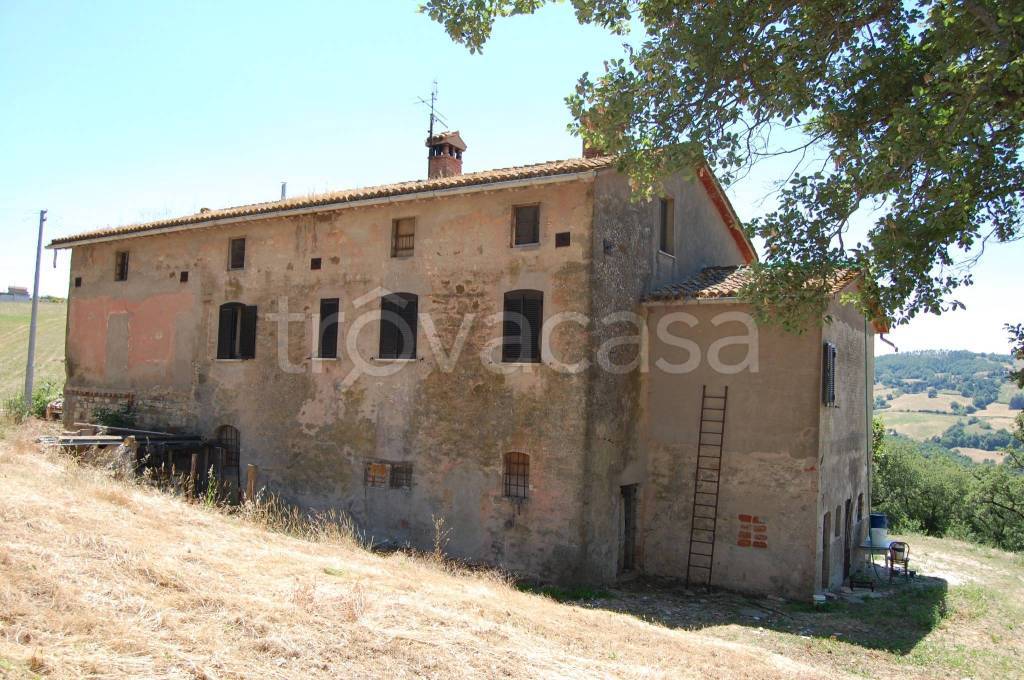 immagine annuncio 11 di 14