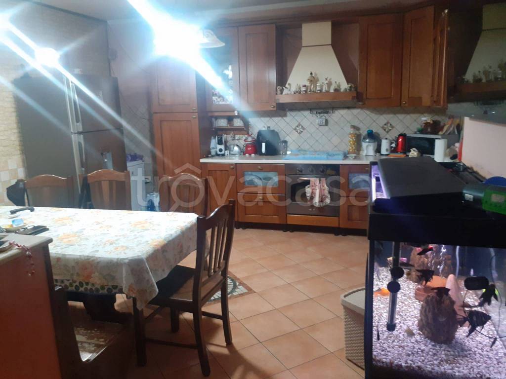 immagine annuncio 3 di 13