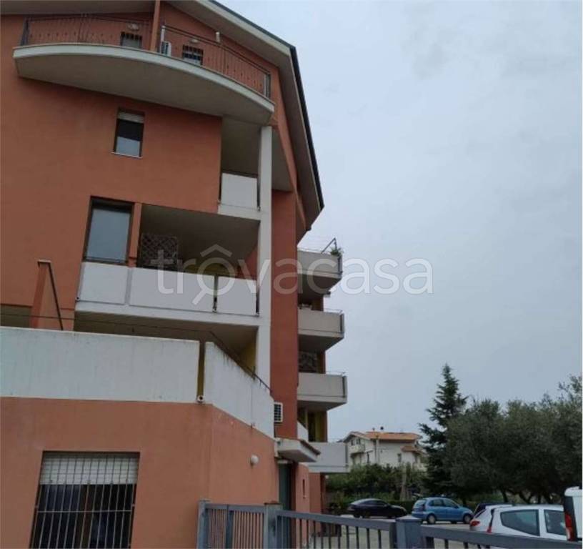 immagine annuncio 1 di 11