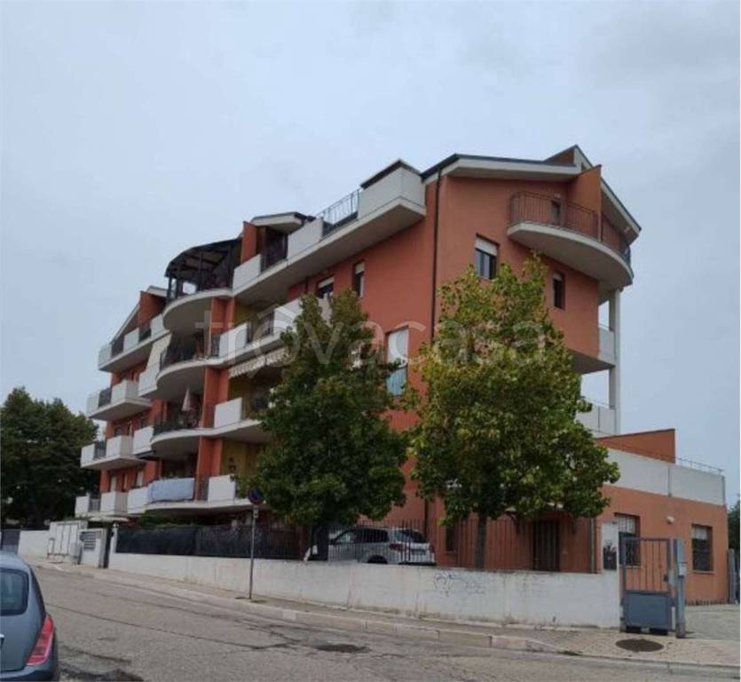 immagine annuncio 2 di 11