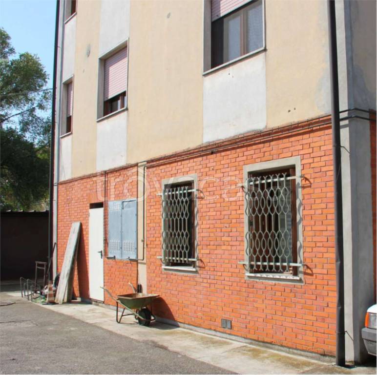 immagine annuncio 10 di 13