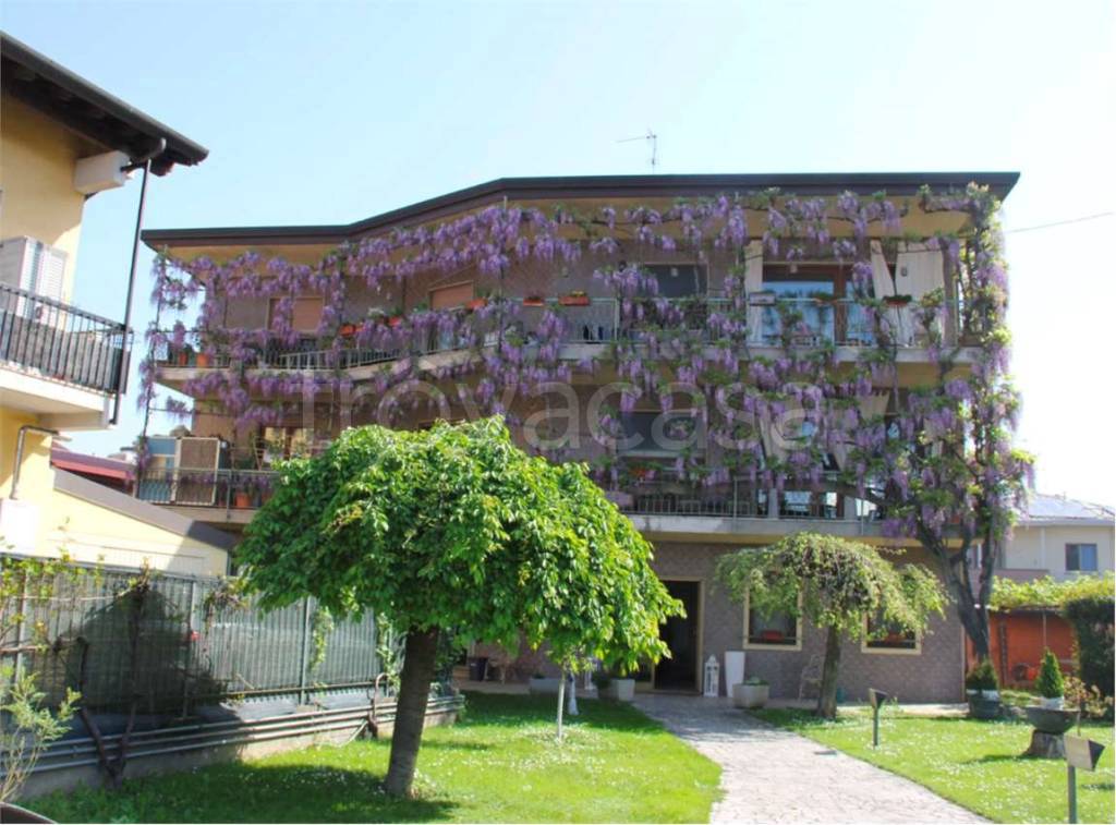 immagine annuncio 11 di 13