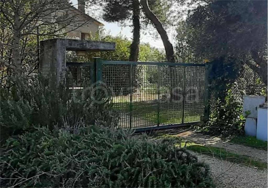 immagine annuncio 5 di 11