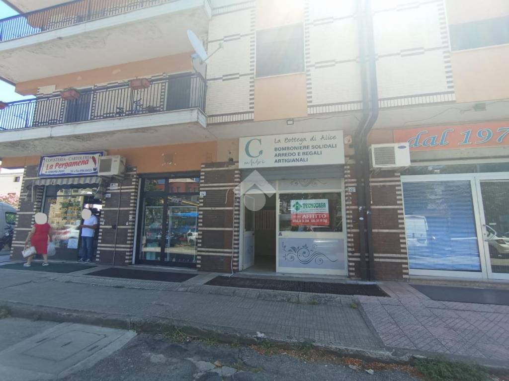 immagine annuncio 9 di 14