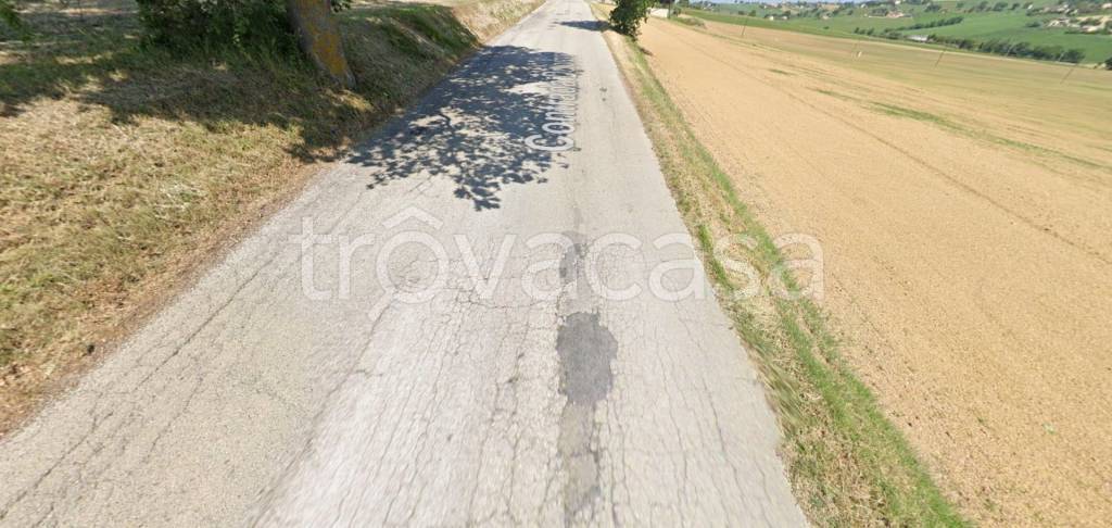 immagine annuncio 7 di 11