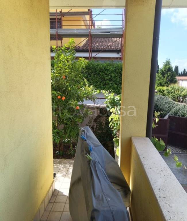 immagine annuncio 6 di 15