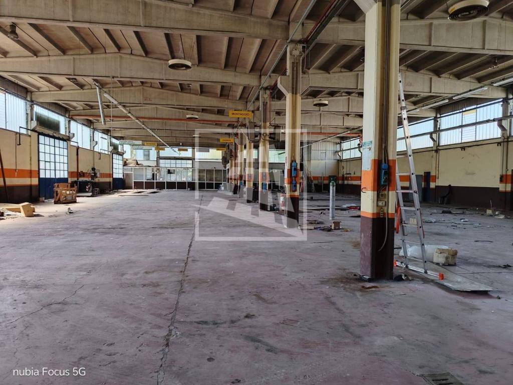 immagine annuncio 3 di 15