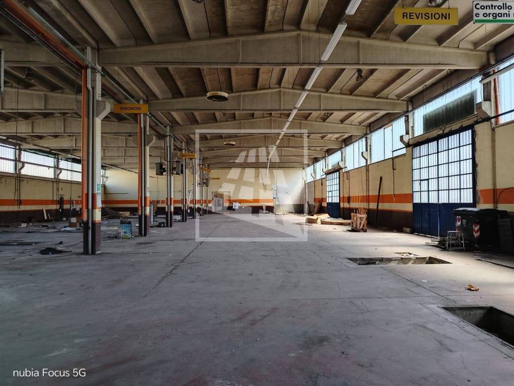 immagine annuncio 7 di 15