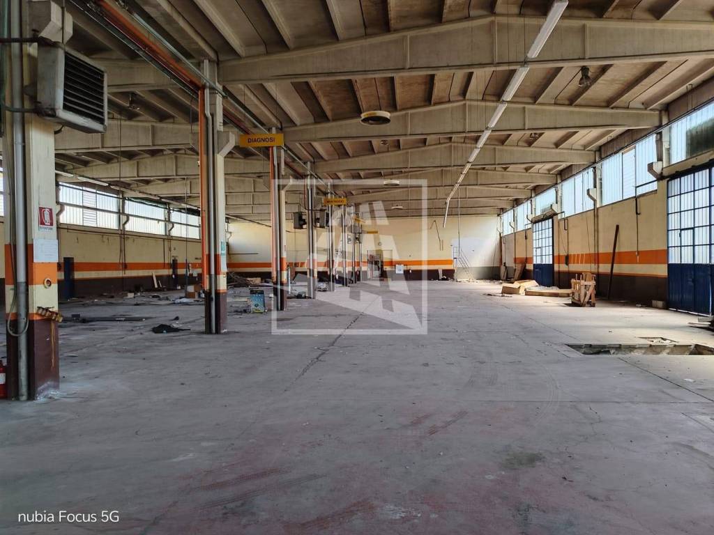 immagine annuncio 9 di 15