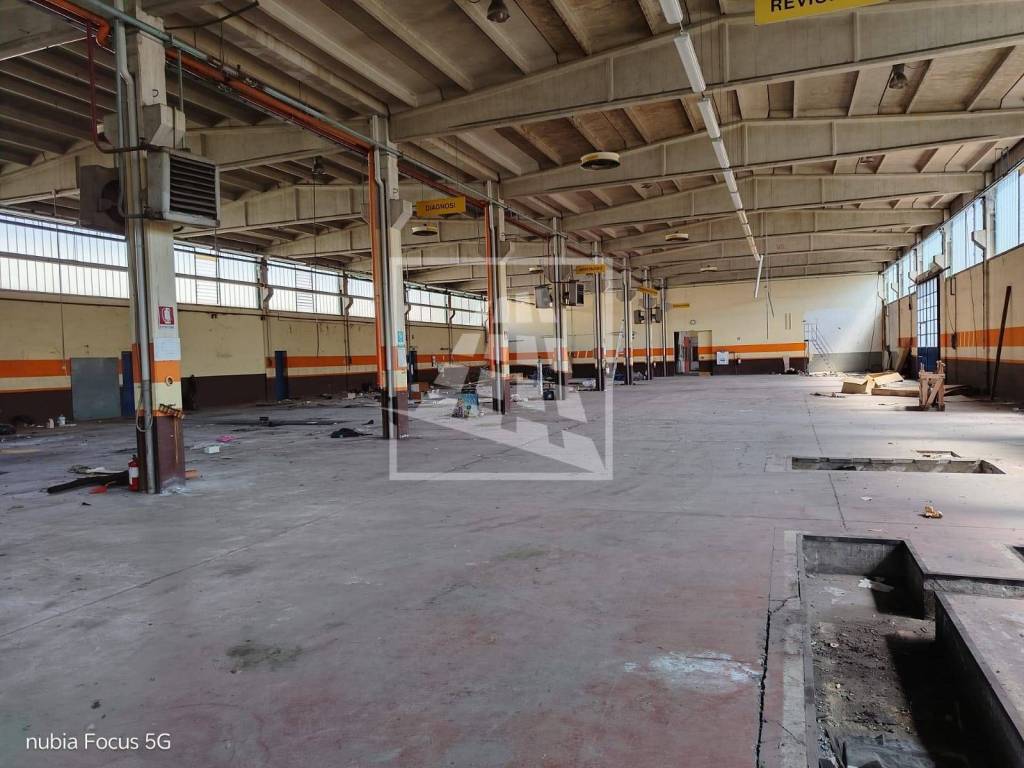 immagine annuncio 10 di 15